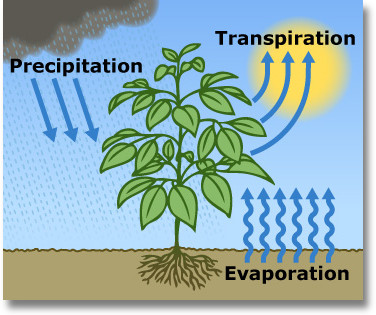 US Geologic Water Cycle